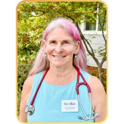 Dr. Liz Stelow